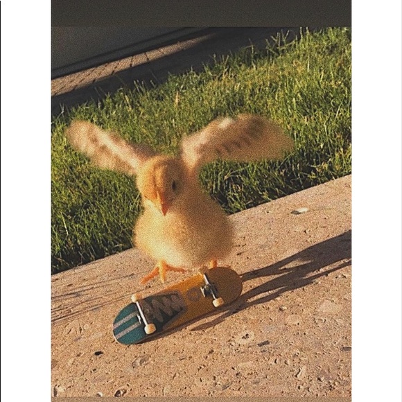 Meet your Posher, Mario - Picture 1 of 1